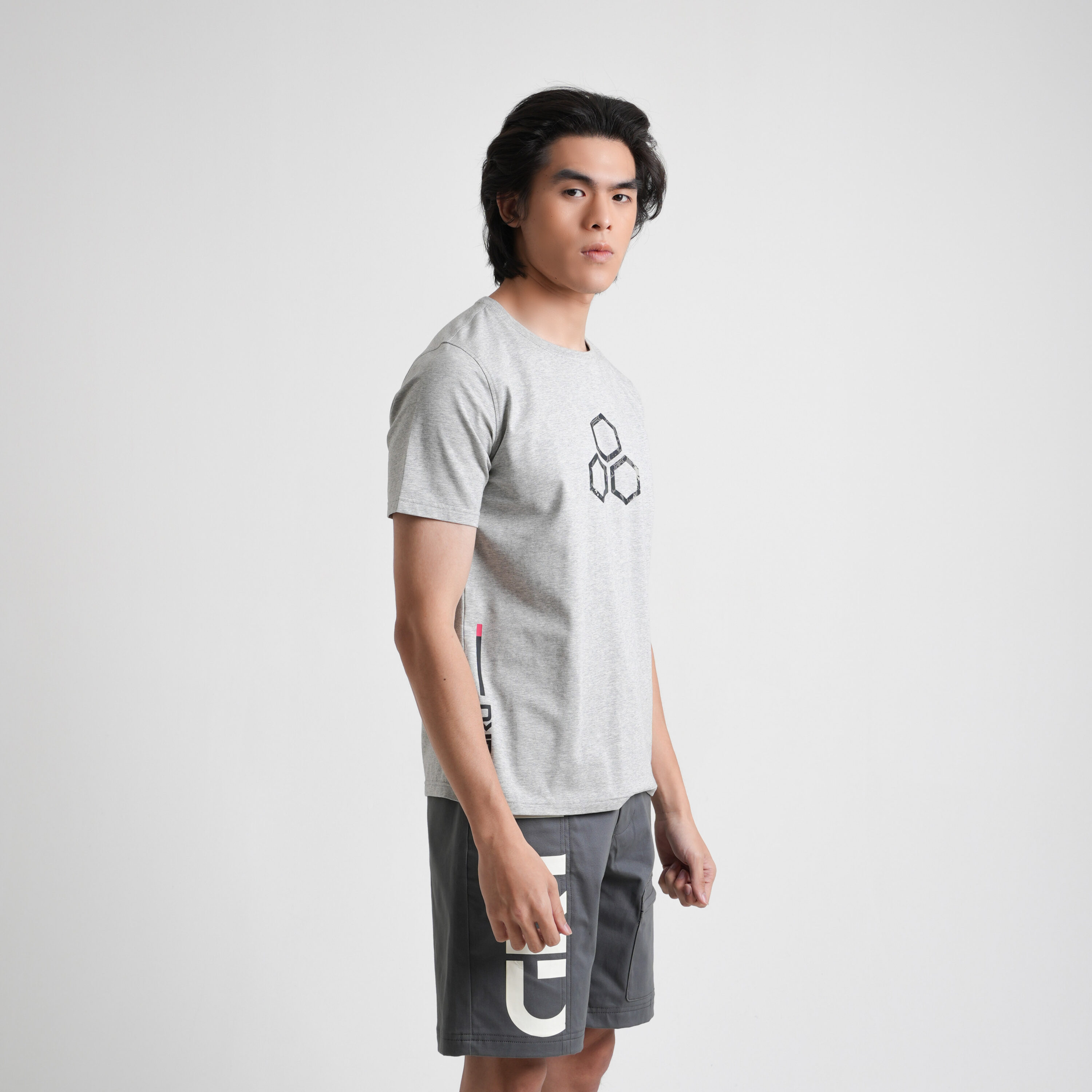 DSC08481e GRU Stark Logo T-shirt